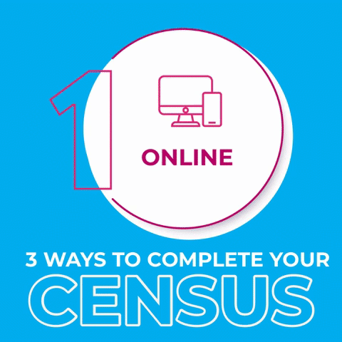 3 Ways for 2020 Census